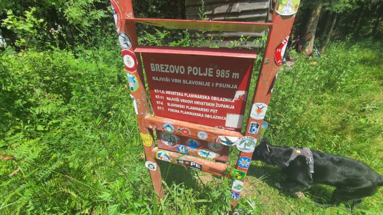 Žig vrha Brezovo polje