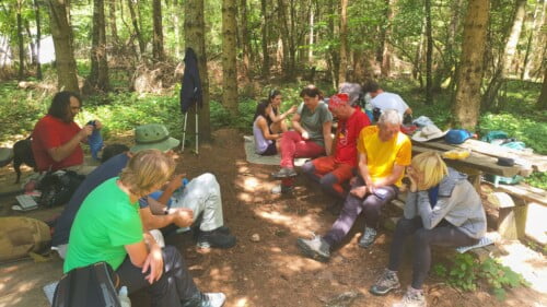 Vrh Brezovo polje 985 m