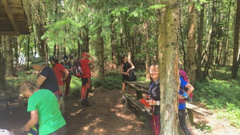 Vrh Brezovo polje 985 m