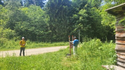 Vrh Brezovo polje 985 m