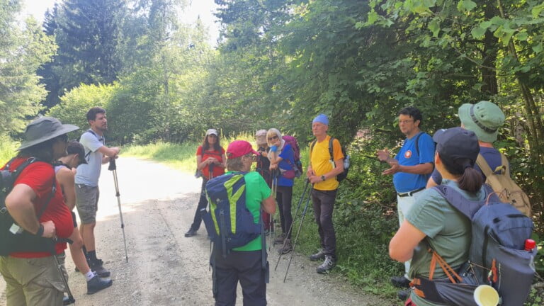 Vrh Brezovo polje 985 m