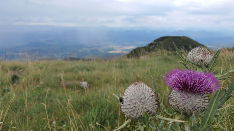 Vaganski vrh 1757 m