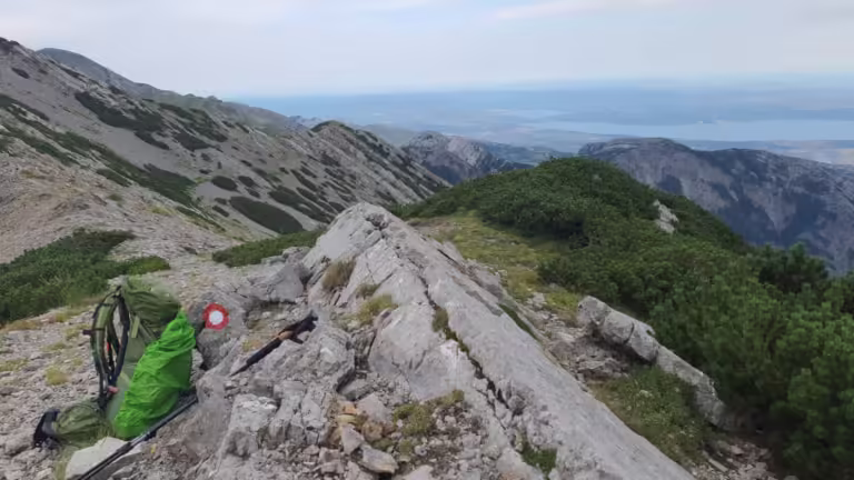 Zala Ploča