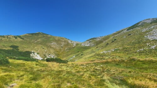 Čičina dolina