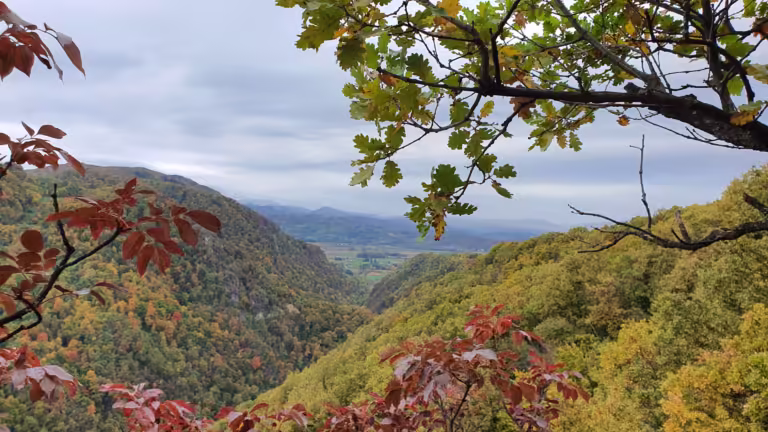 Vidikovac Pesji skok