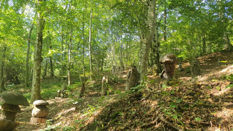 Izletište sa drvenim skulpturama