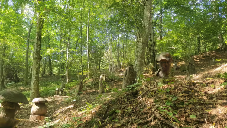 Izletište sa drvenim skulpturama