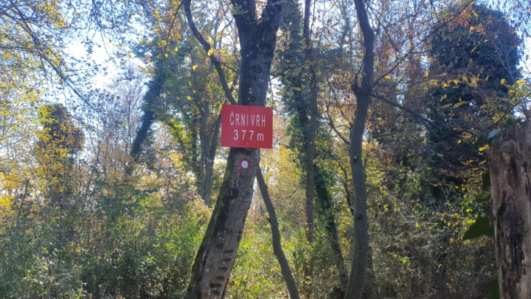 Črni vrh 377 m