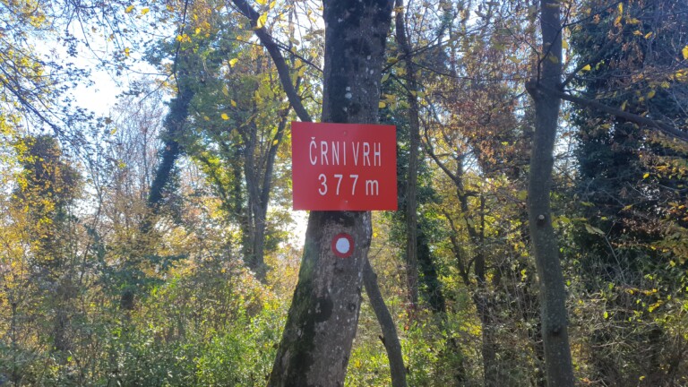 Črni vrh 377 m