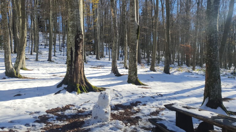 Planinarski dom Grafičar