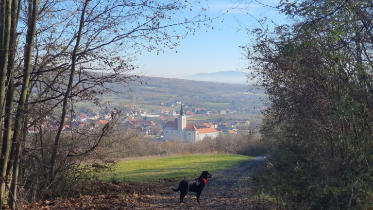 Franjevački samostan i crkva Sv. Petra