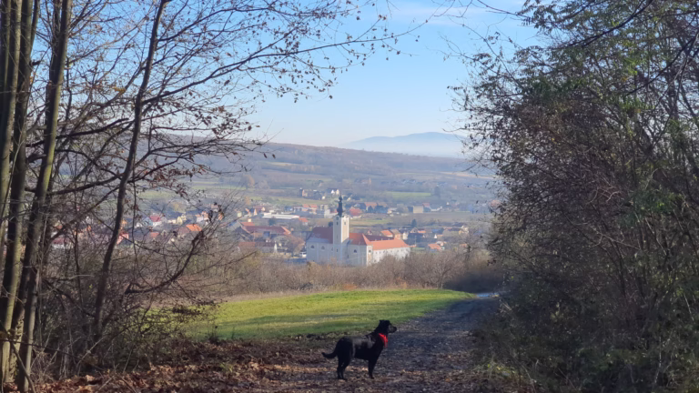 Franjevački samostan i crkva Sv. Petra