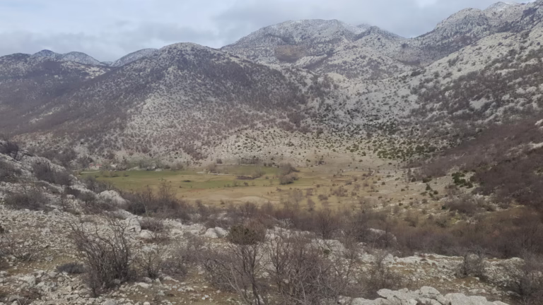 Bili Sinokos