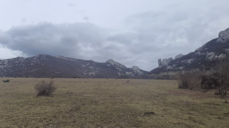 Pričatrnja polje