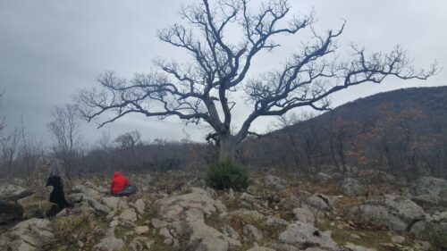 Velebit, Božji dar 2. dan