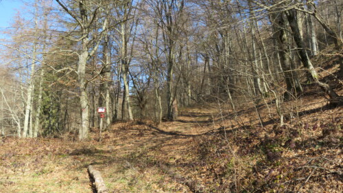 Početak staze za Veljinu glavu i Kapetanicu