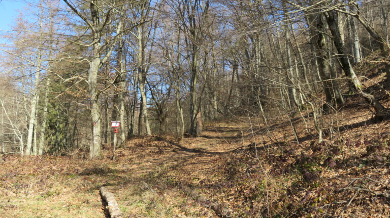 Početak staze za Velju glavu i Kapetanicu