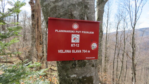 Vrh Veljina Glava 704 m