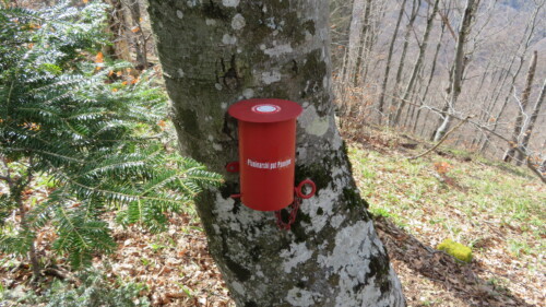 Vrh Veljina Glava 704 m