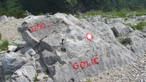 Vrh Golić 1265 m