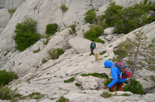 Velebit 2. dan: Bojinac