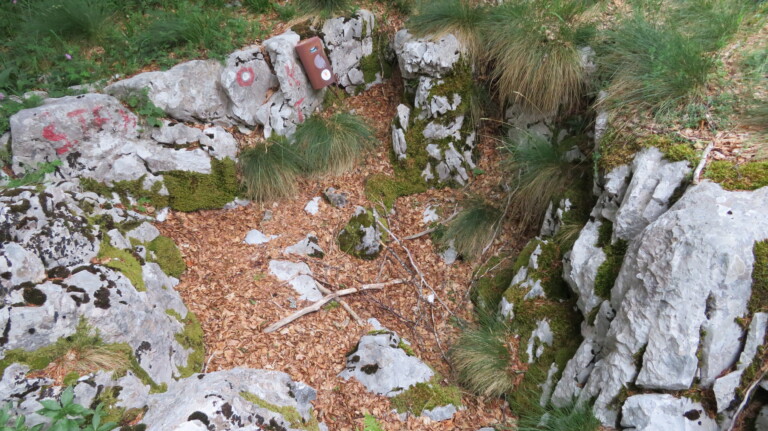 Vrh Šegotski Tadijevac 1494 m