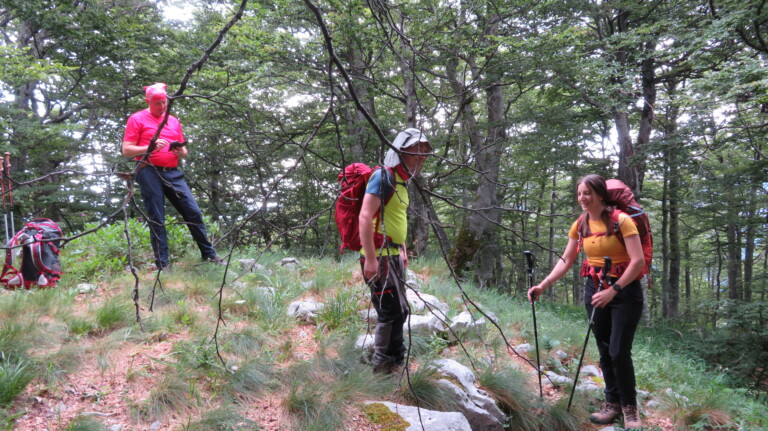 Vrh Šegotski Tadijevac 1494 m