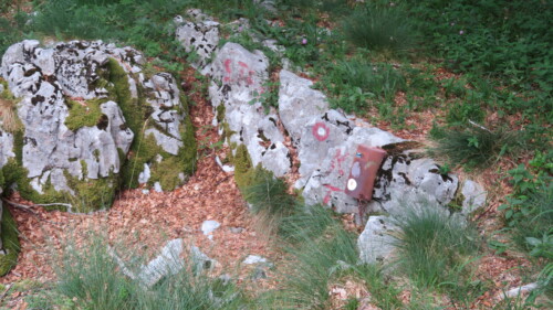 Vrh Šegotski Tadijevac 1494 m