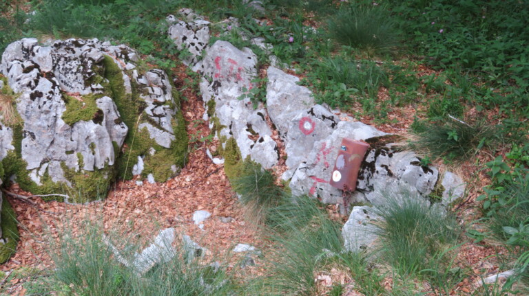 Vrh Šegotski Tadijevac 1494 m