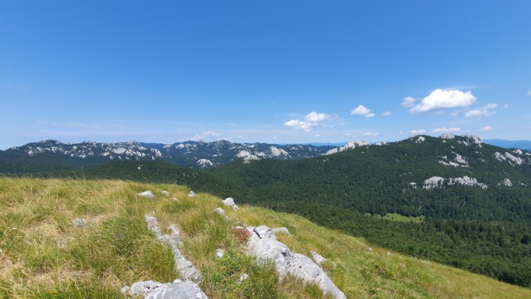 Vrh Goljak 1605 m