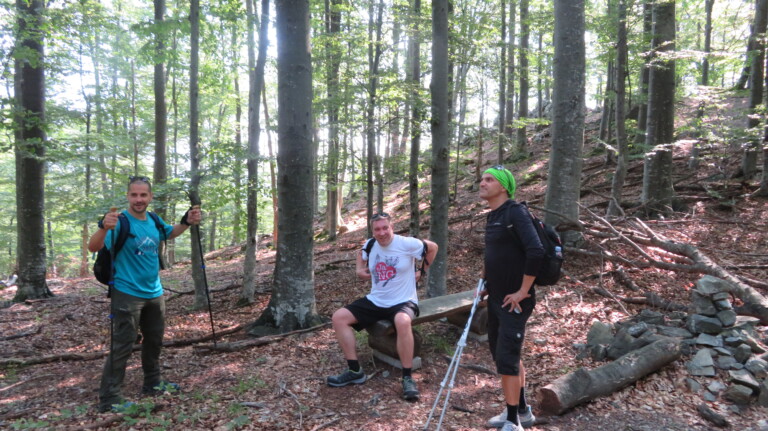 Vrh Gornji Previt 797 m