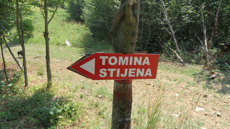 Tomina stijena
