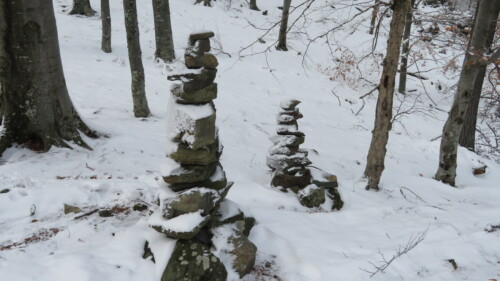 Vrh Gornji Previt 797 m