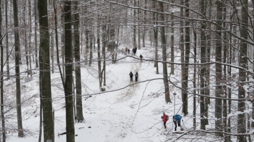 Vrh Gornji Previt 797 m