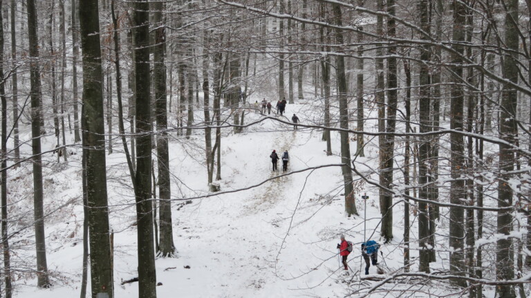 Vrh Gornji Previt 797 m