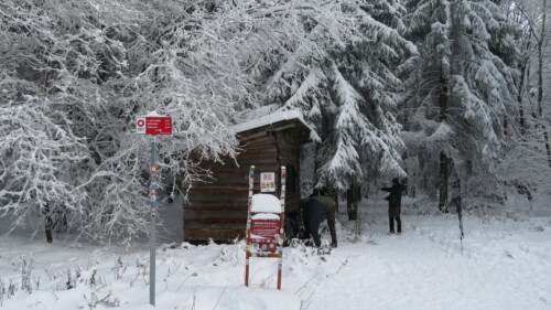 Vrh Brezovo polje 985 m