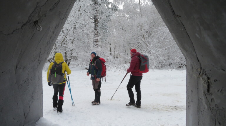 Vrh Brezovo polje 985 m